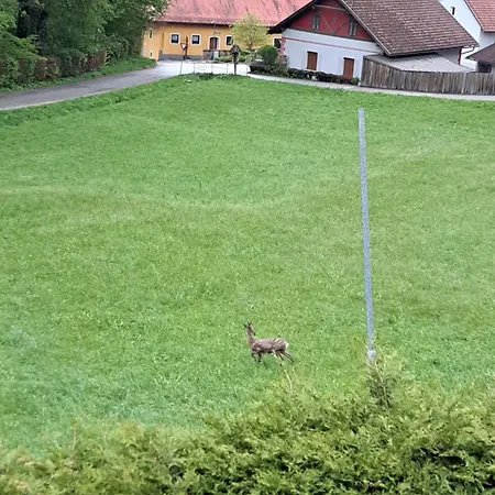 شقة Haus Am Schloss بليبورغ