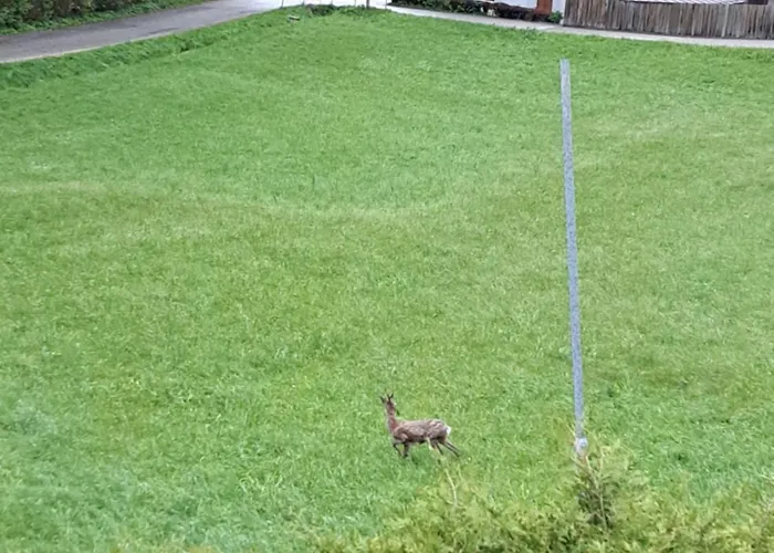 아파트 Haus Am Schloss 블레이부르크